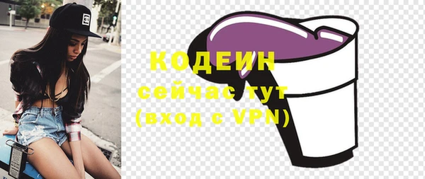 хмурый Богородск