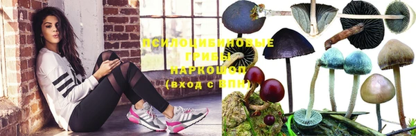хмурый Богородск